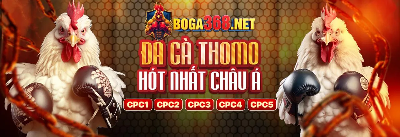 Hình ảnh sân vận động lớn với màn hình hiển thị tỷ số cá cược ga888vn